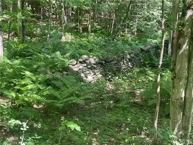 $50,000 | 0 Meirs Road, Williamstown, NY 13493