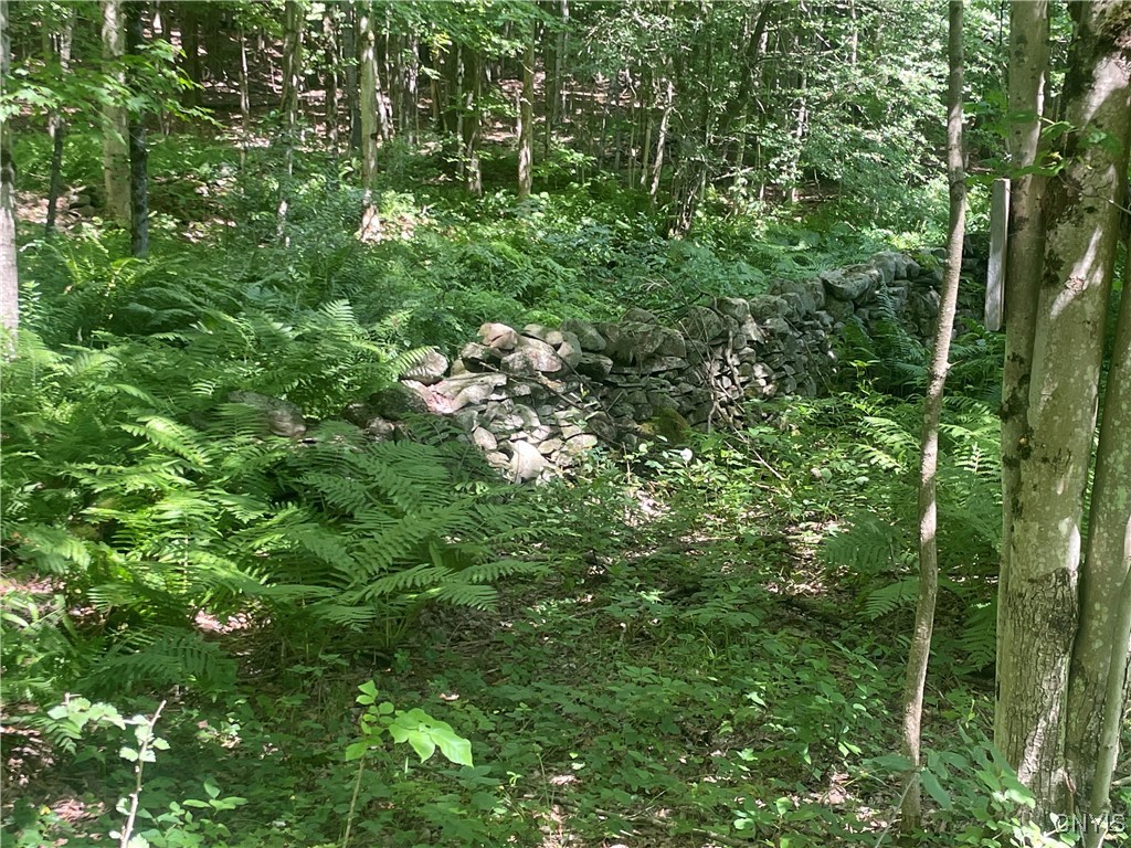 0 Meirs Road Williamstown, NY 13493 - Photo 5 of 11