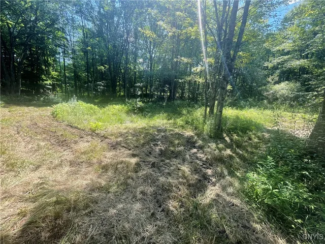 $50,000 | 0 Meirs Road, Williamstown, NY 13493