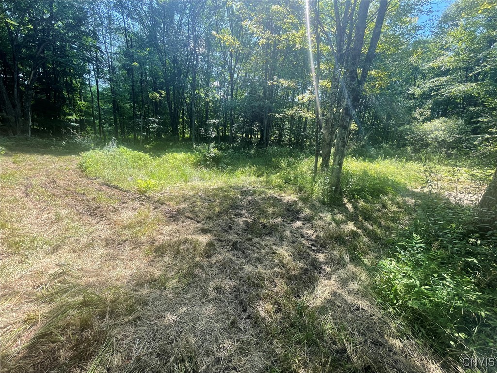 0 Meirs Road Williamstown, NY 13493 - Photo 8 of 11