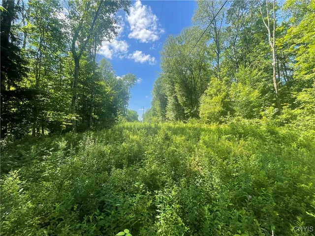 $50,000 | 0 Meirs Road, Williamstown, NY 13493