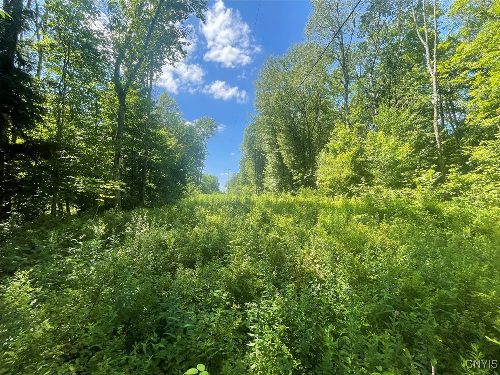 0 Meirs Road Williamstown, NY 13493 - Photo 9 of 11