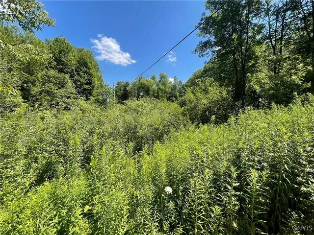 $50,000 | 0 Meirs Road, Williamstown, NY 13493