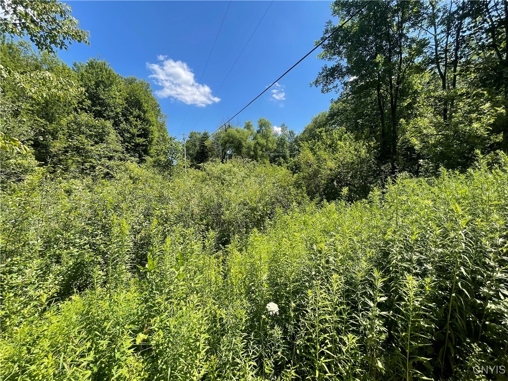 0 Meirs Road Williamstown, NY 13493 - Photo 10 of 11