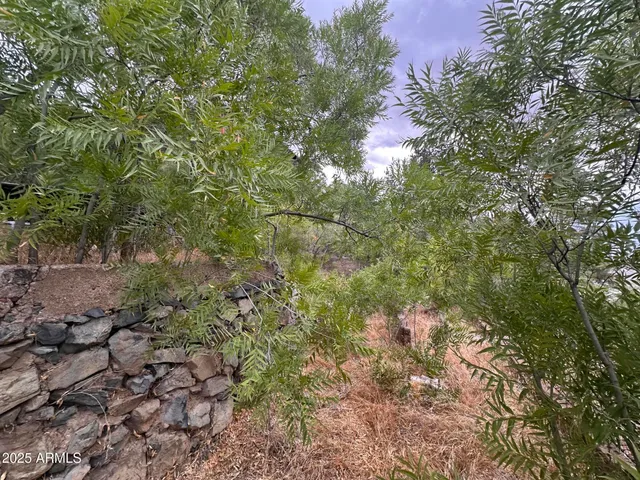 a backyard of a house with lots of trees
