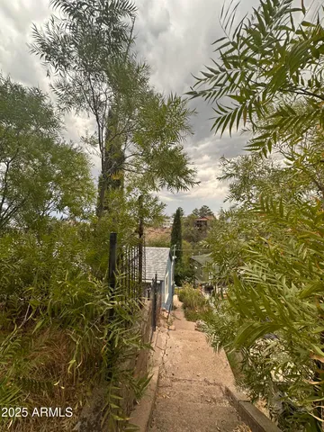 a view of a yard with an trees