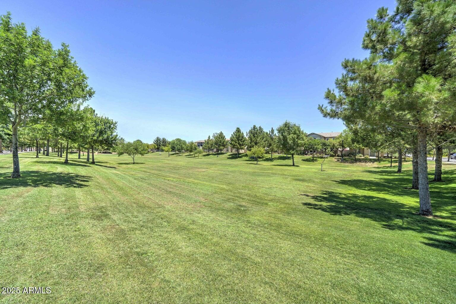 878 South Huish Drive, Unit LOT 105 Gilbert, AZ 85296 - Photo 40 of 51 a view of a park with trees and grass
