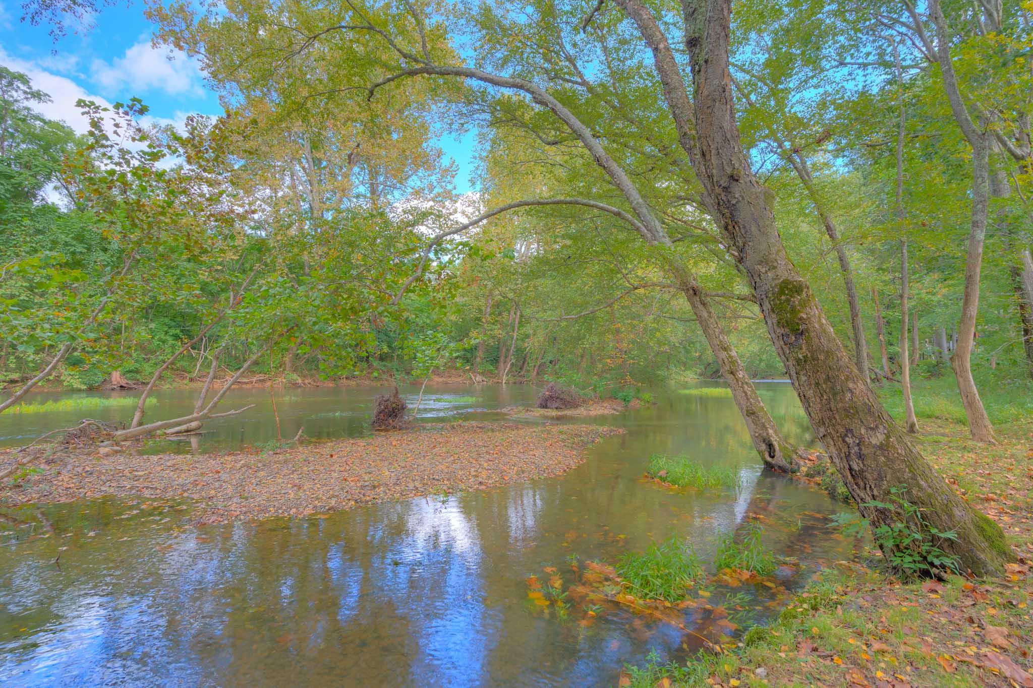 175 Prices Cabin Road New Castle, VA 24127 - Photo 10 of 31 175_PricesCabinRd_Web-10