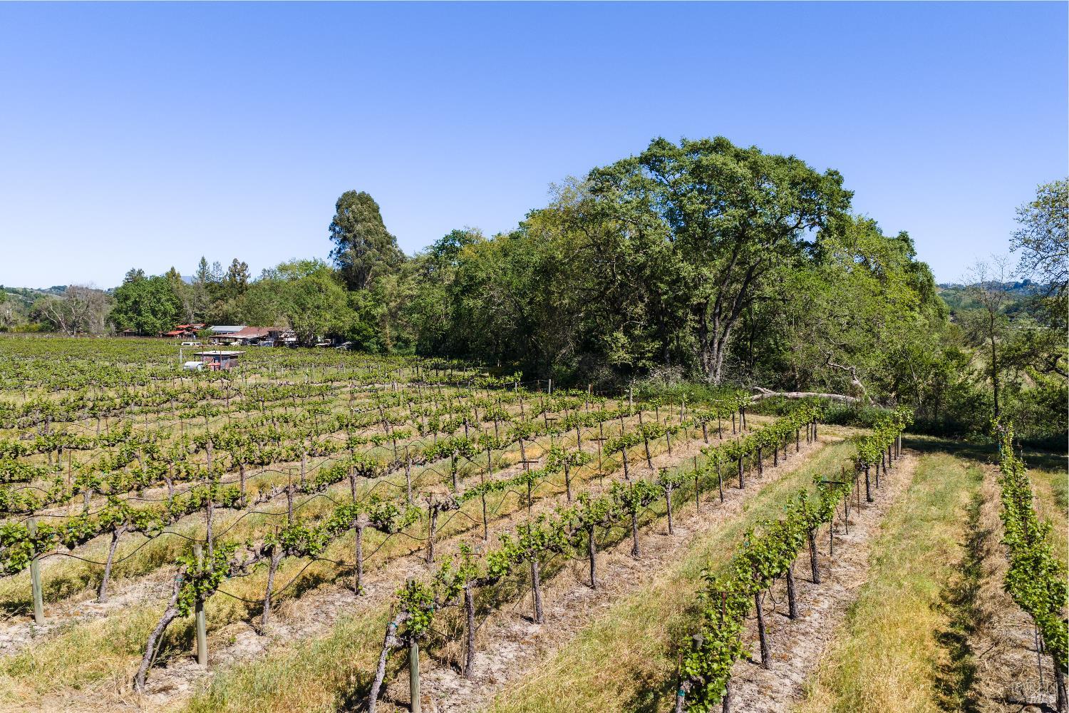 106 Shamrock Circle Santa Rosa, CA 95403 - Photo 52 of 53