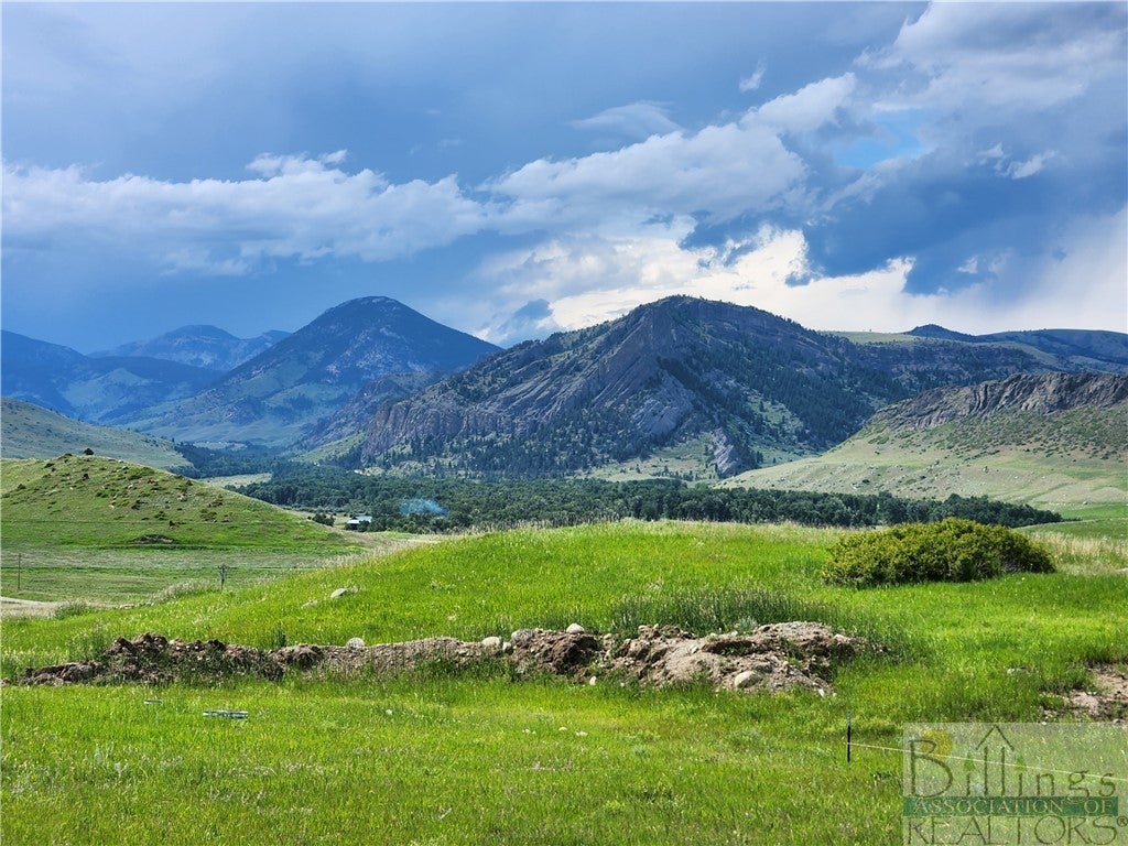 223 Nye Cemetery Road Fishtail, MT 59028 - Photo 1 of 1 Gallery Image 1