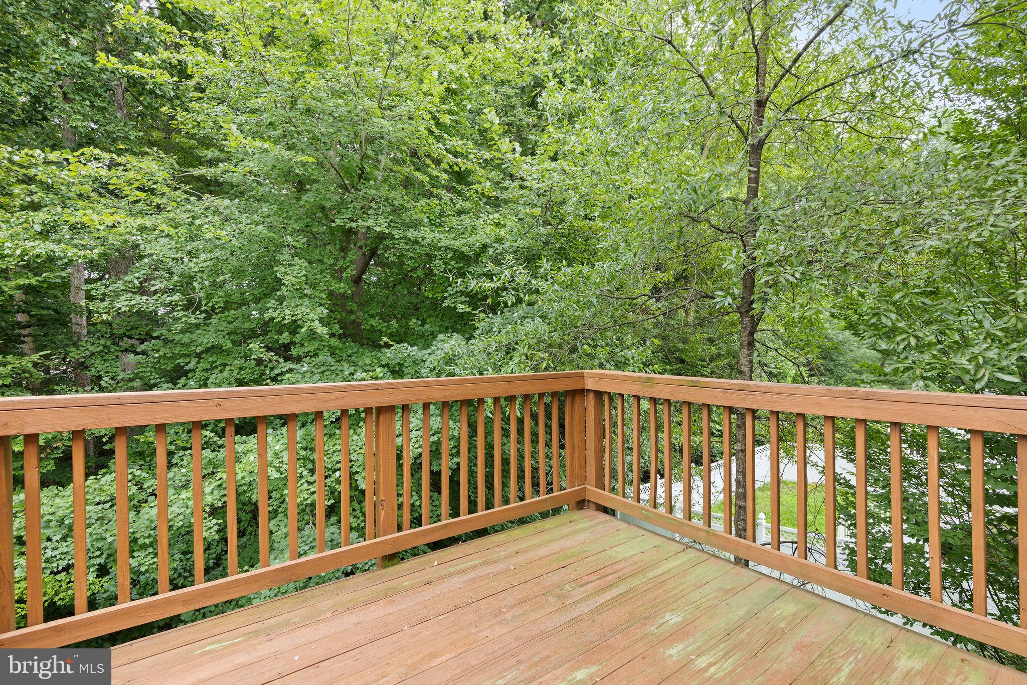 509 Twinleaf Drive Aberdeen, MD 21001 - Photo 16 of 32