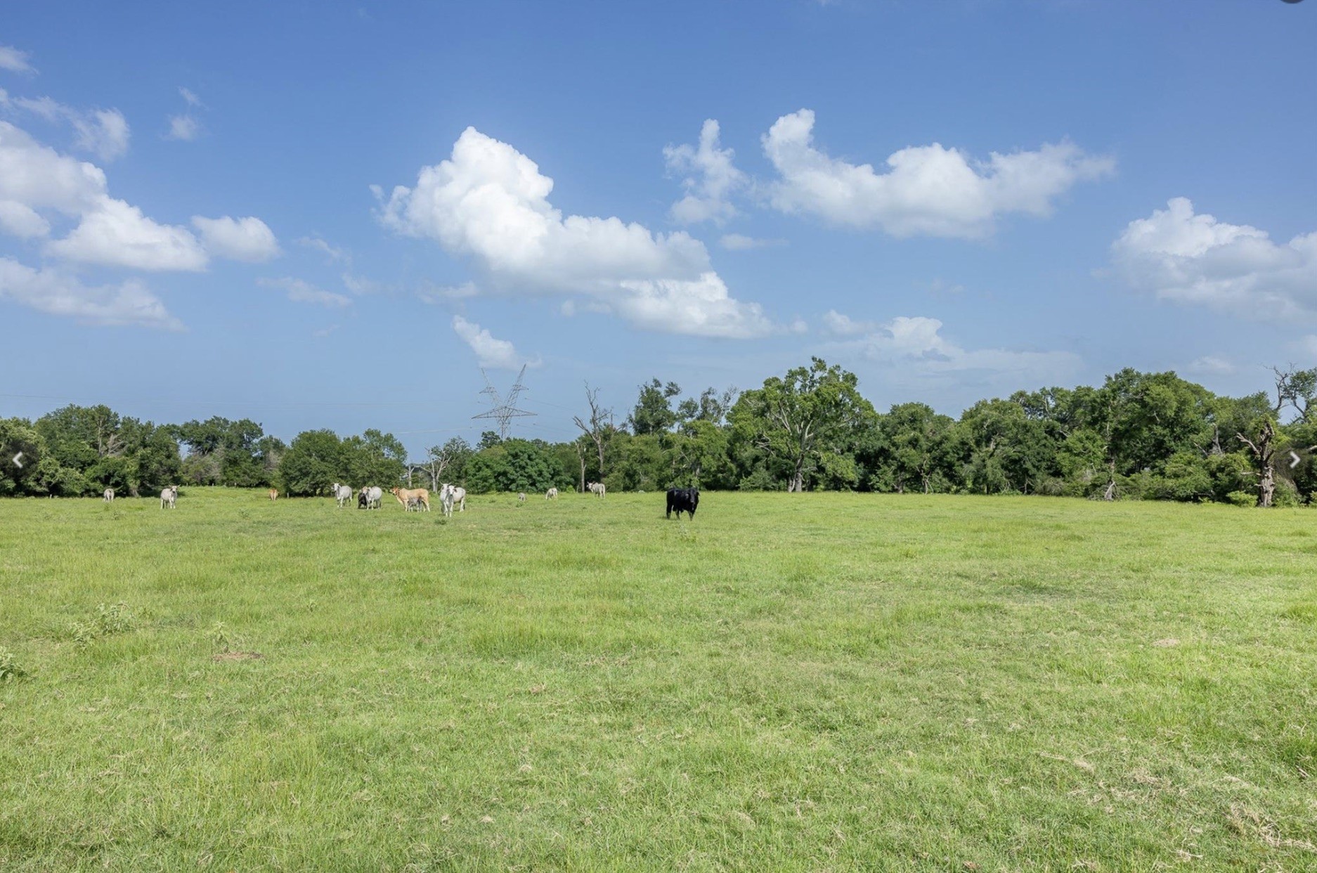6388 Red Rock Road Franklin, TX 77856 - Photo 2 of 6 a view of a field and an ocean