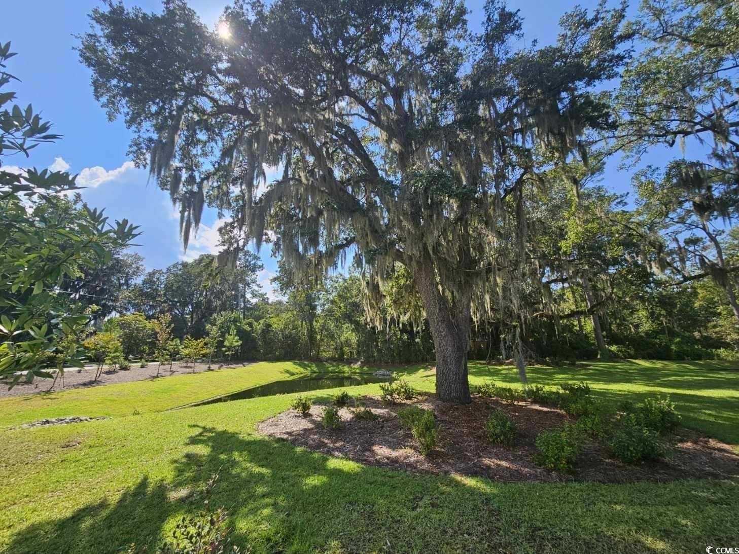 603 Golden Resin Road, Unit LOT 177 Conway, SC 29526 - Photo 25 of 40