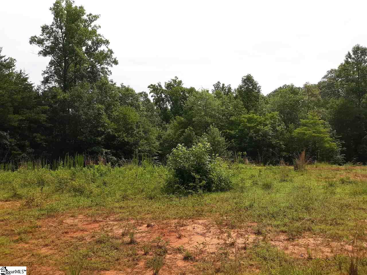 1526 Pace Bridge Road Easley, SC 29640 - Photo 3 of 3