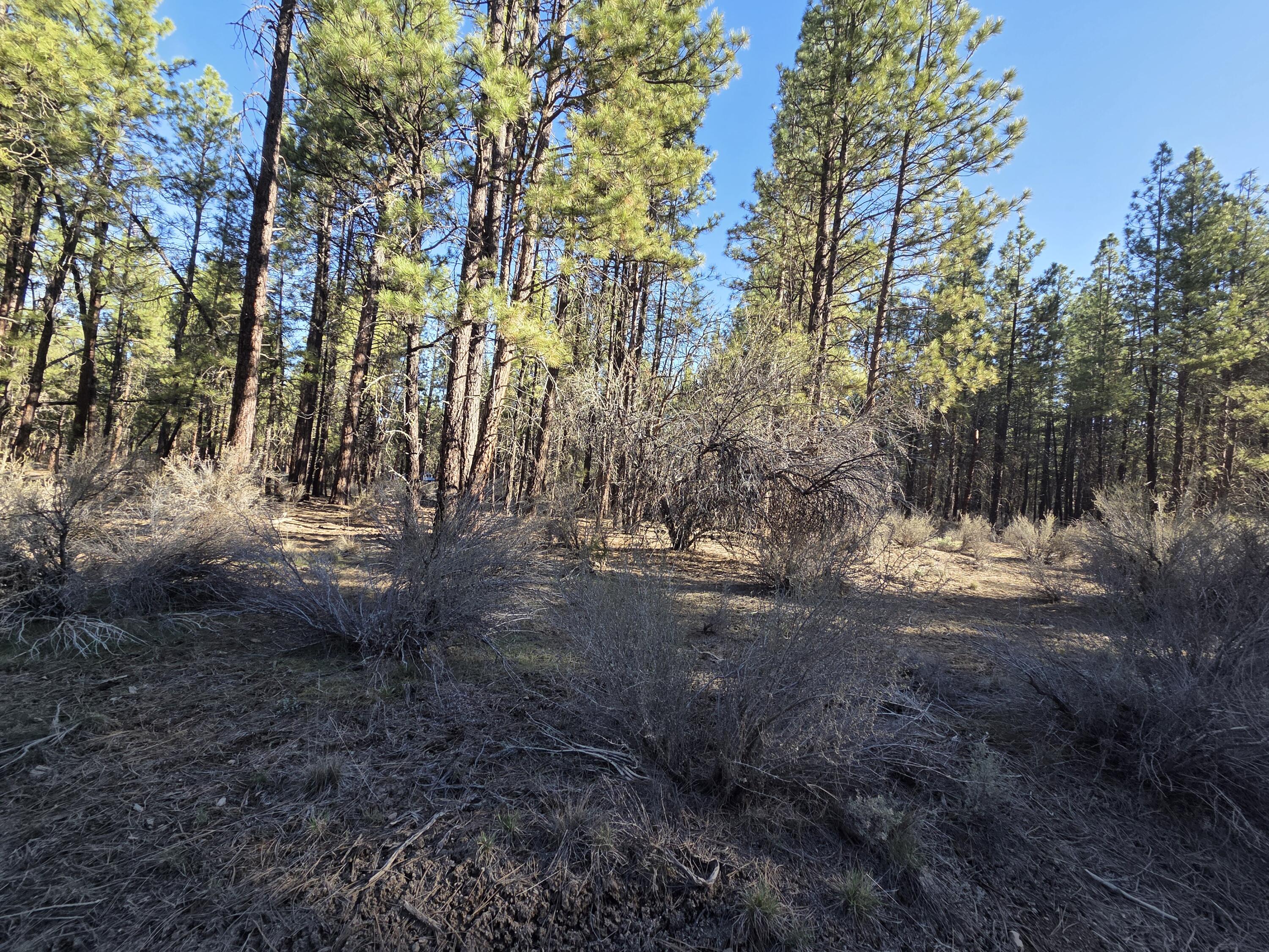 0 Grey Wolf Lane, Unit LOT 7 Chiloquin, OR 97624 - Photo 4 of 6 Lot