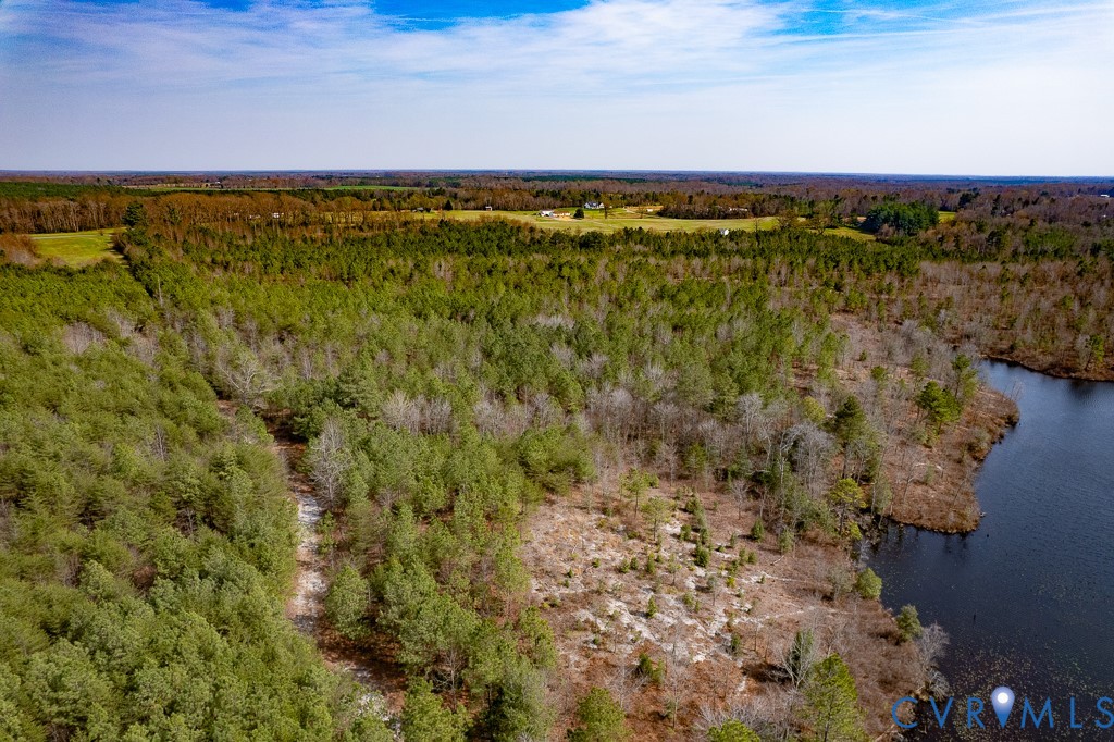 18262 Seals Road Bowling Green, VA 22427 - Photo 11 of 50