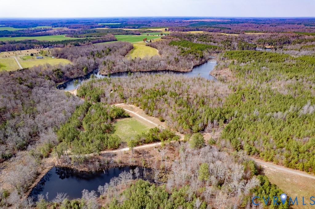 18262 Seals Road Bowling Green, VA 22427 - Photo 12 of 50