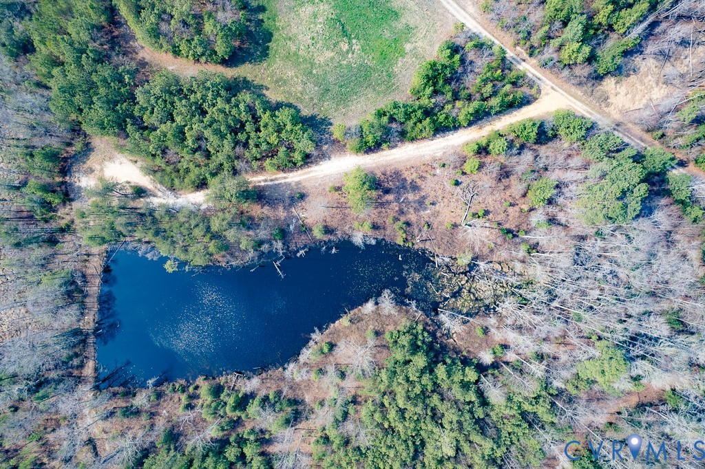 18262 Seals Road Bowling Green, VA 22427 - Photo 14 of 50