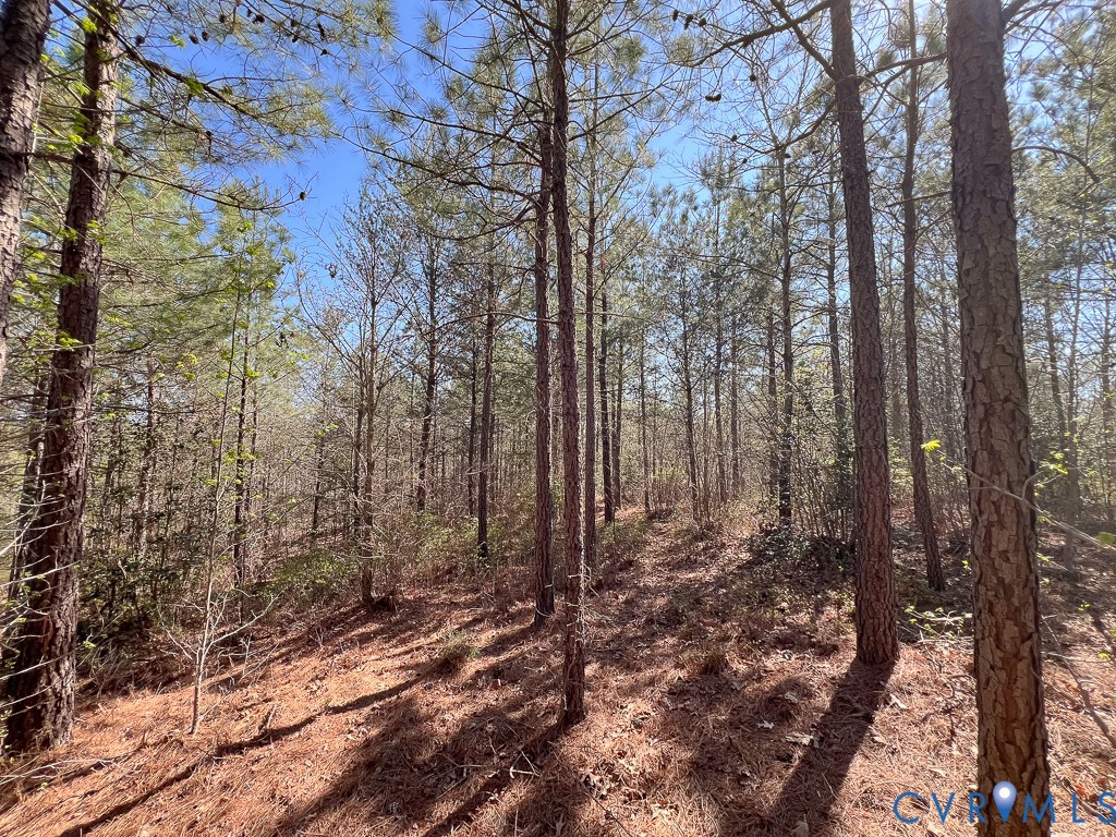 18262 Seals Road Bowling Green, VA 22427 - Photo 38 of 50