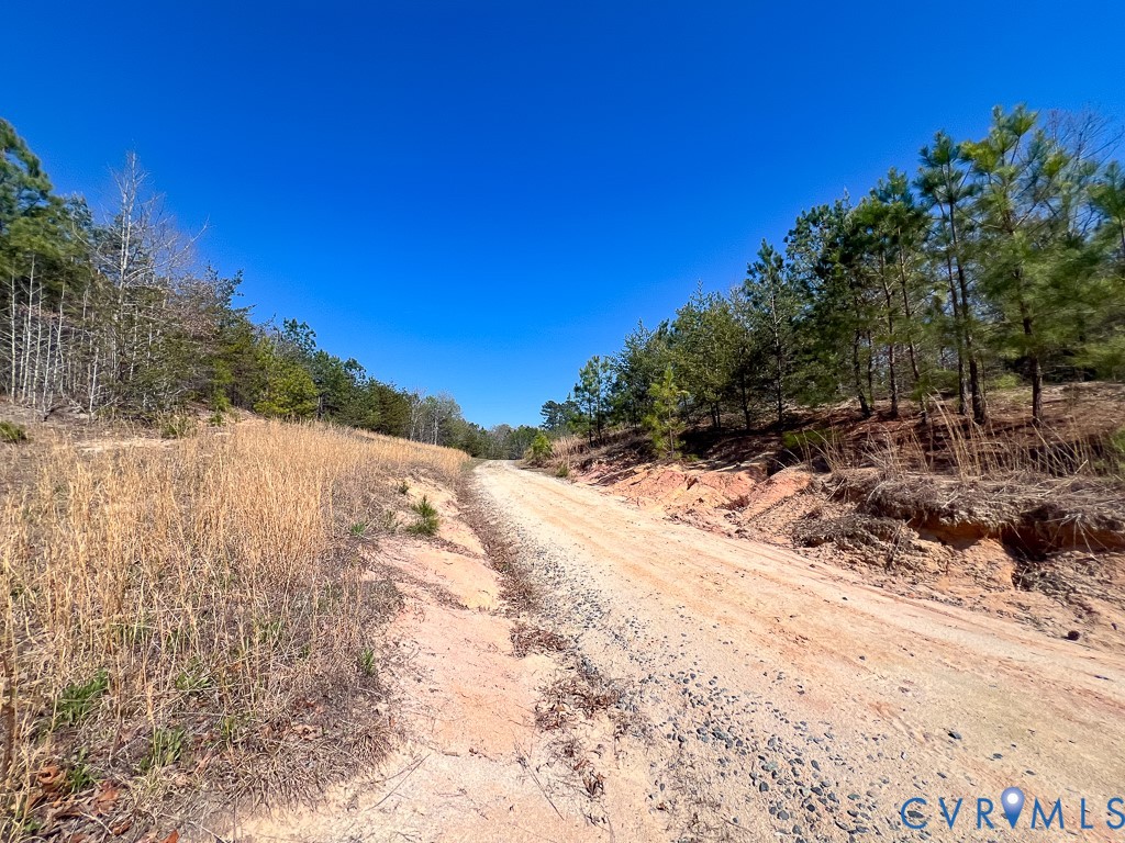 18262 Seals Road Bowling Green, VA 22427 - Photo 39 of 50