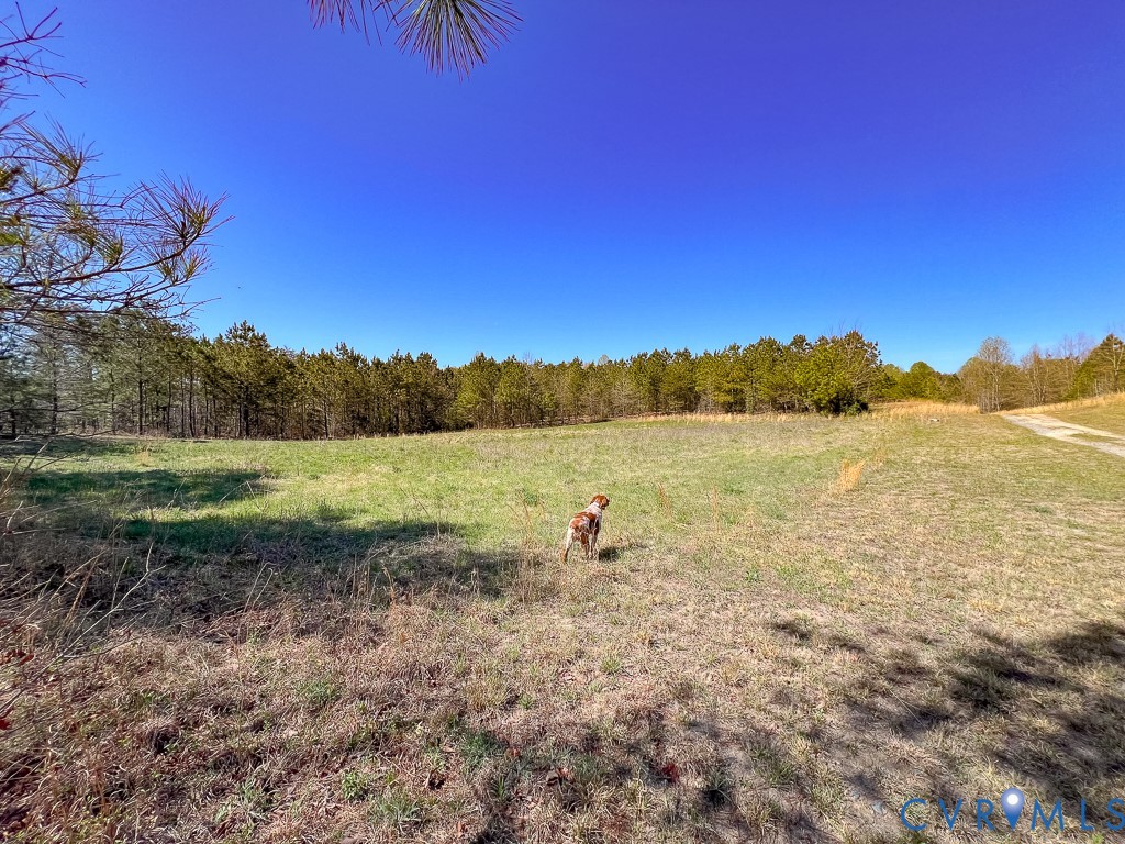 18262 Seals Road Bowling Green, VA 22427 - Photo 45 of 50