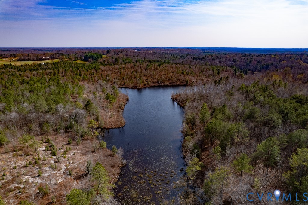 18262 Seals Road Bowling Green, VA 22427 - Photo 10 of 50