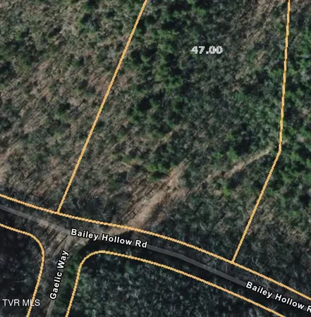 $79,000 | Lot 4 Bailey Hollow Road, Unit 4, Erwin, TN 37650