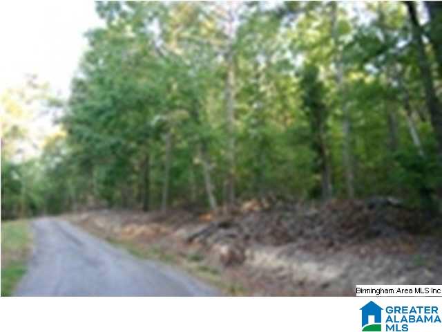 Hilltop Road Oneonta, AL 35121 - Photo 3 of 3