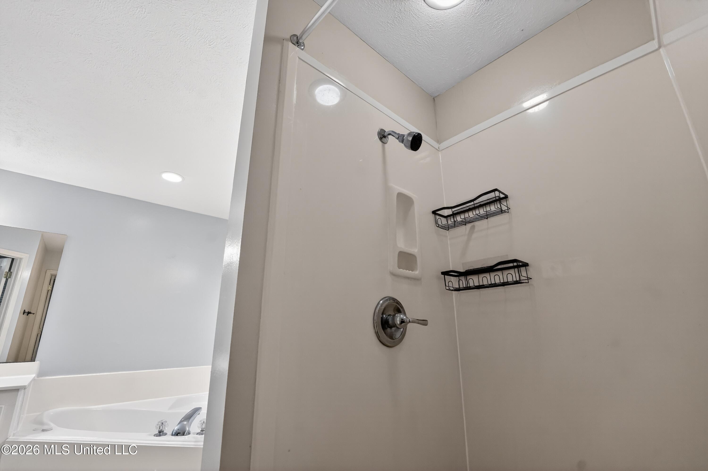 114 Spring Valley Drive Brandon, MS 39047 - Photo 24 of 30 24_114_Spring_Valley_Dr-Bathroom-6969