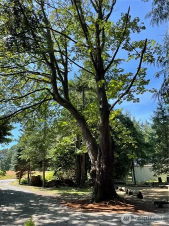 $3,295 | 3255 East Camano Drive, Camano Island, WA 98282