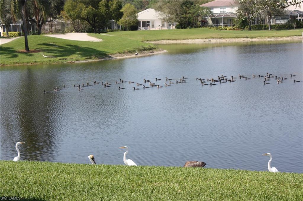 2029 Crestview Way, Unit 105 Naples, FL 34119 - Photo 41 of 50
