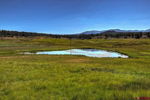 a view of an ocean and beach