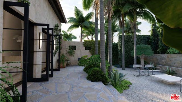 a view of backyard with potted plants and palm trees