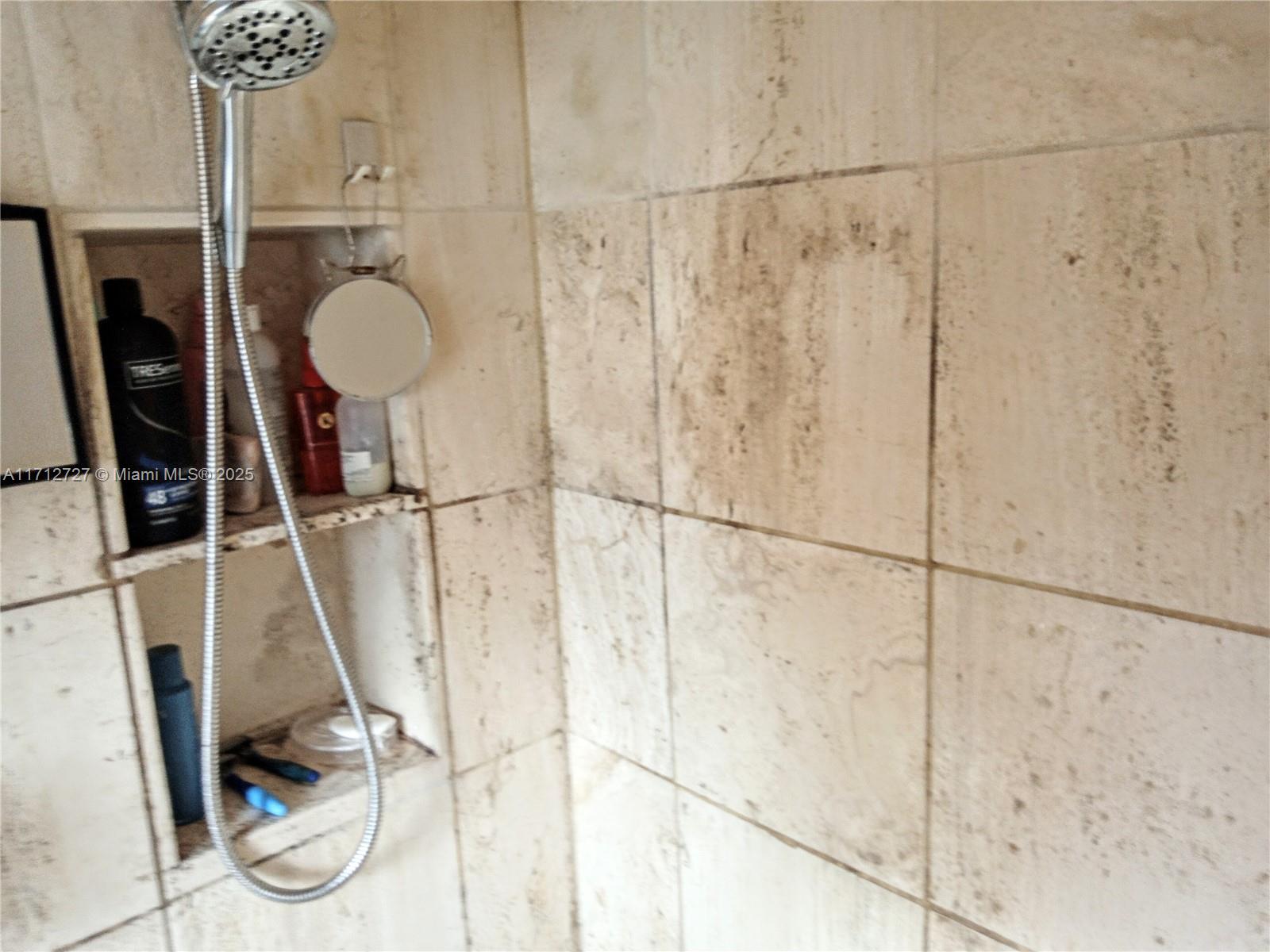 3304 Virginia Street, Unit 3B Miami, FL 33133 - Photo 7 of 9 Shower