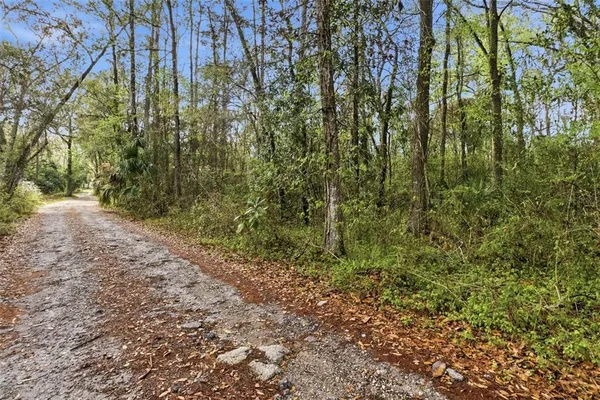 $45,000 | 0 Chisholm Road, Brooksville, FL 34601