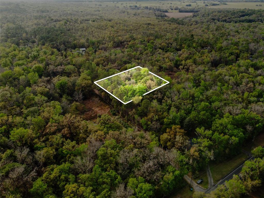 0 Chisholm Road Brooksville, FL 34601 - Photo 2 of 9