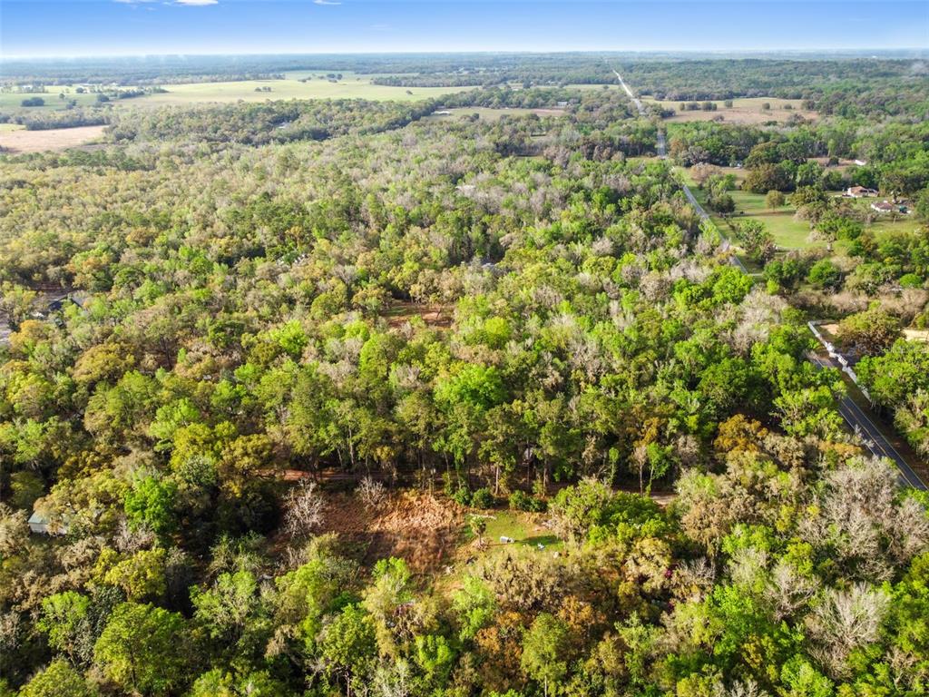 0 Chisholm Road Brooksville, FL 34601 - Photo 5 of 9