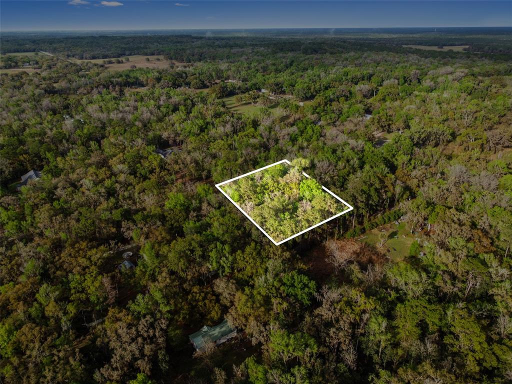 0 Chisholm Road Brooksville, FL 34601 - Photo 6 of 9