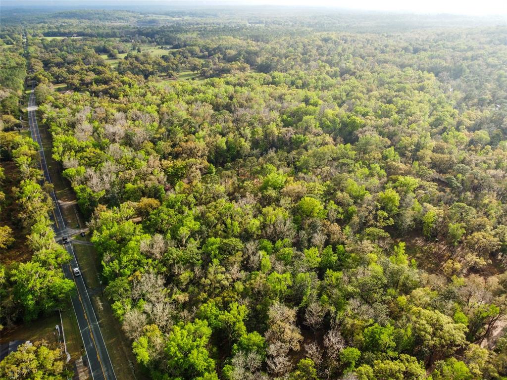 0 Chisholm Road Brooksville, FL 34601 - Photo 9 of 9