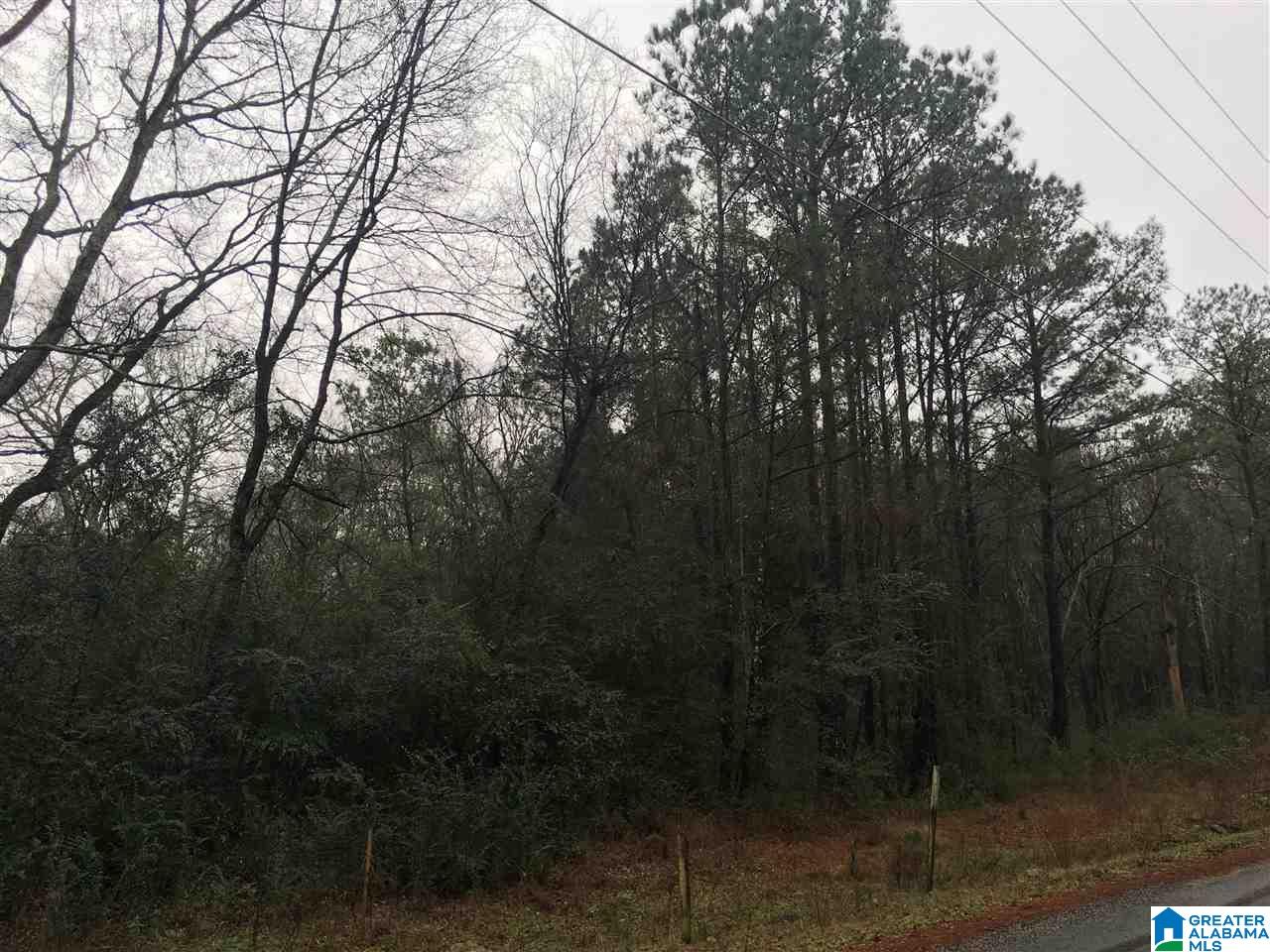 1205 Eureka Road, Unit 3 Lincoln, AL 35096 - Photo 11 of 31