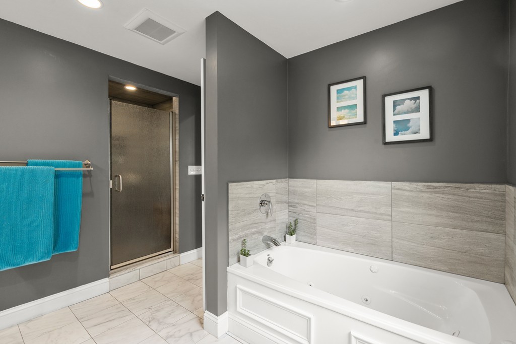 36 River Street, Unit 2 Arlington, MA 02474 - Photo 23 of 32 a bathroom with a bathtub and a shower