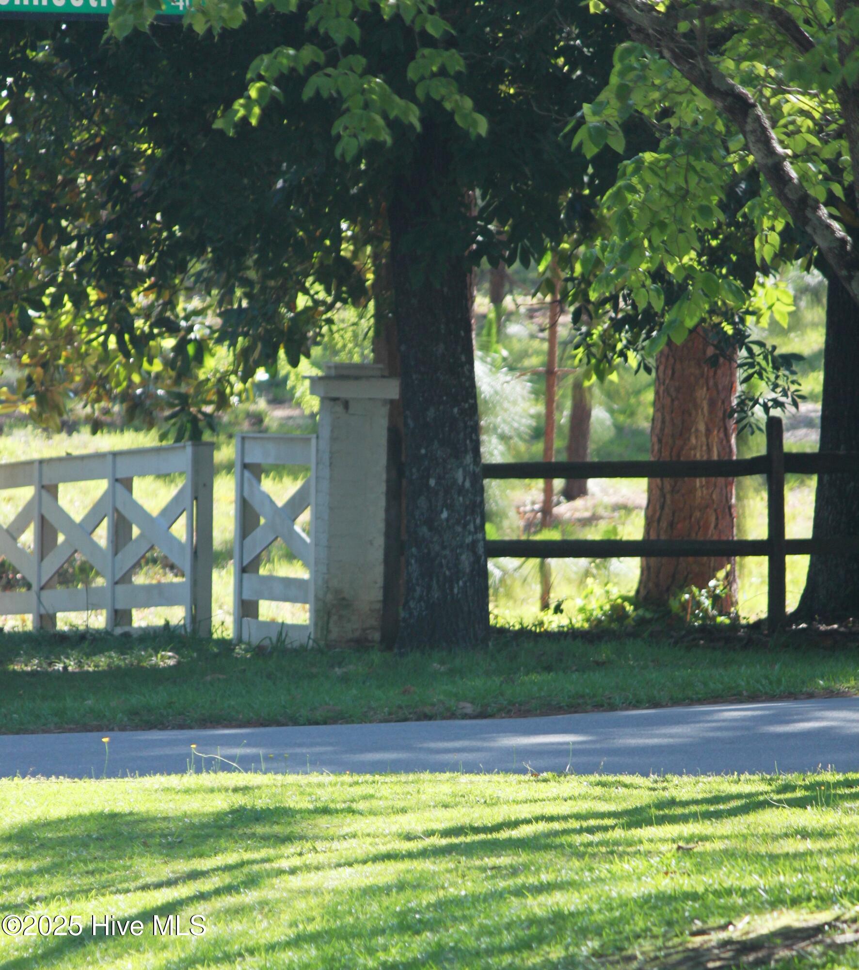 260 North Ridge Street Southern Pines, NC 28387 - Photo 36 of 47 Path just across the Street