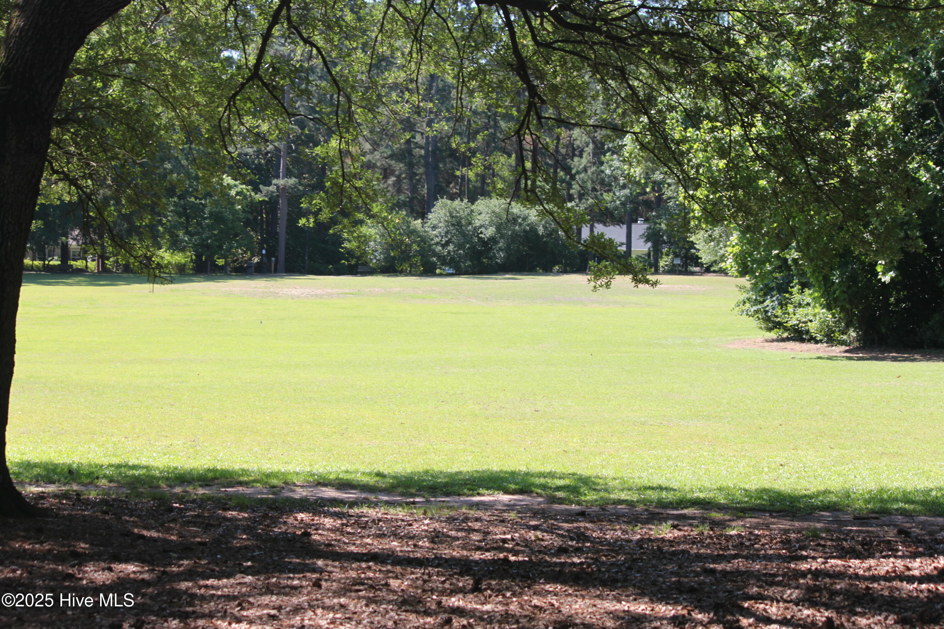 260 North Ridge Street Southern Pines, NC 28387 - Photo 41 of 47 Around the corner