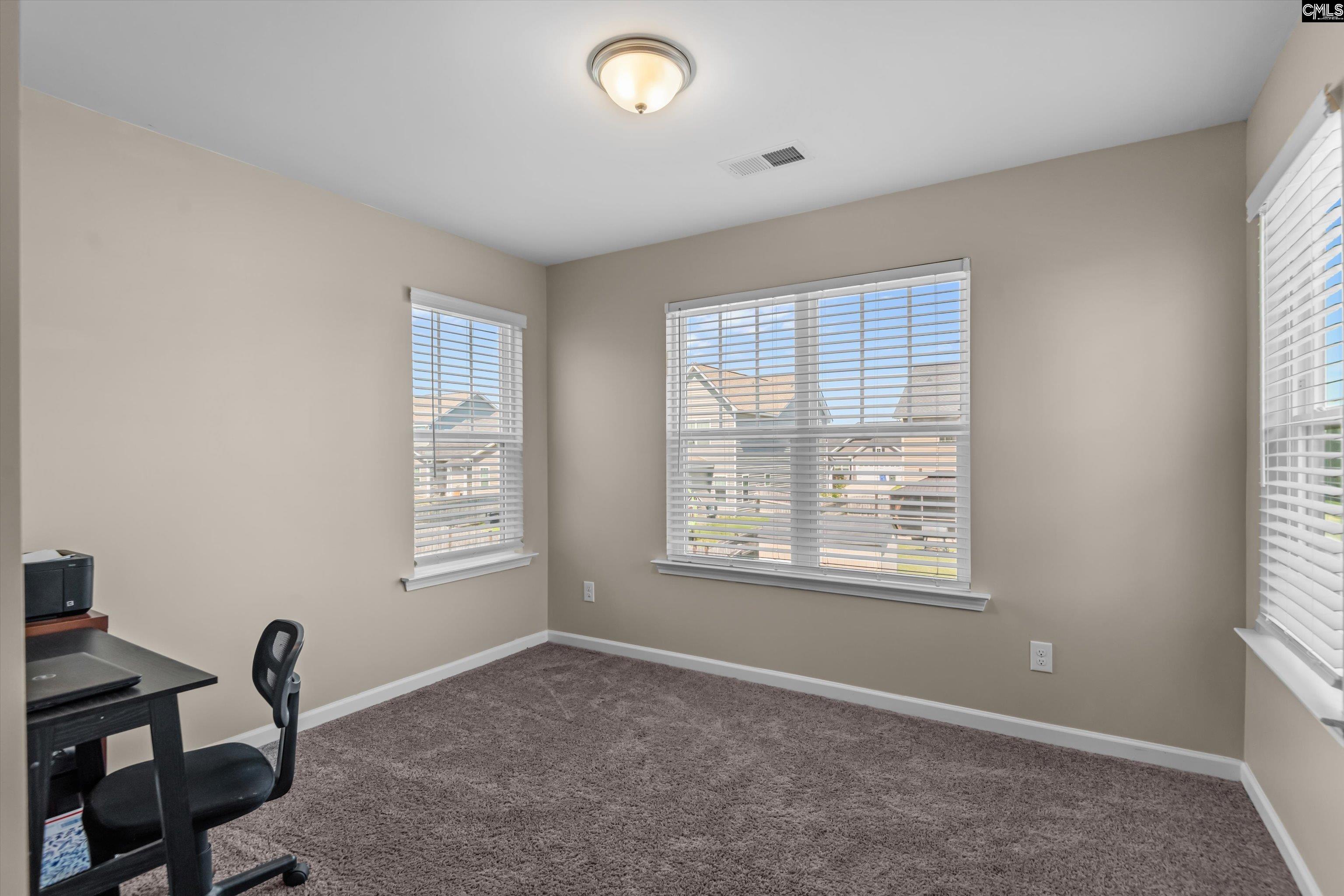 741 North Pinewalk Way Elgin, SC 29045 - Photo 25 of 52