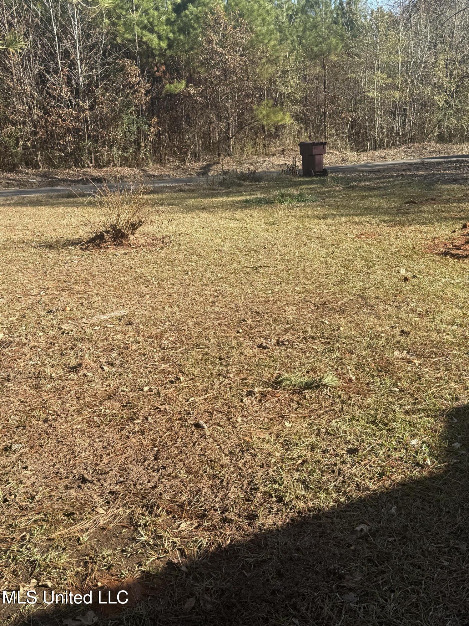 144 Draine Road Eupora, MS 39744 - Photo 4 of 7 IMG_1207