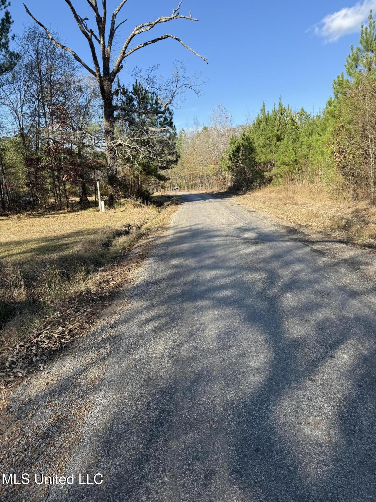 144 Draine Road Eupora, MS 39744 - Photo 7 of 7 IMG_1202