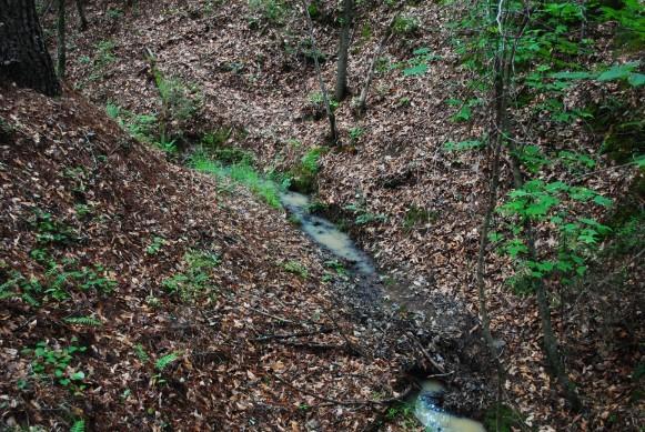 608 Old Indian Springs Road Forsyth, GA 31029 - Photo 2 of 44 DSC_0061
