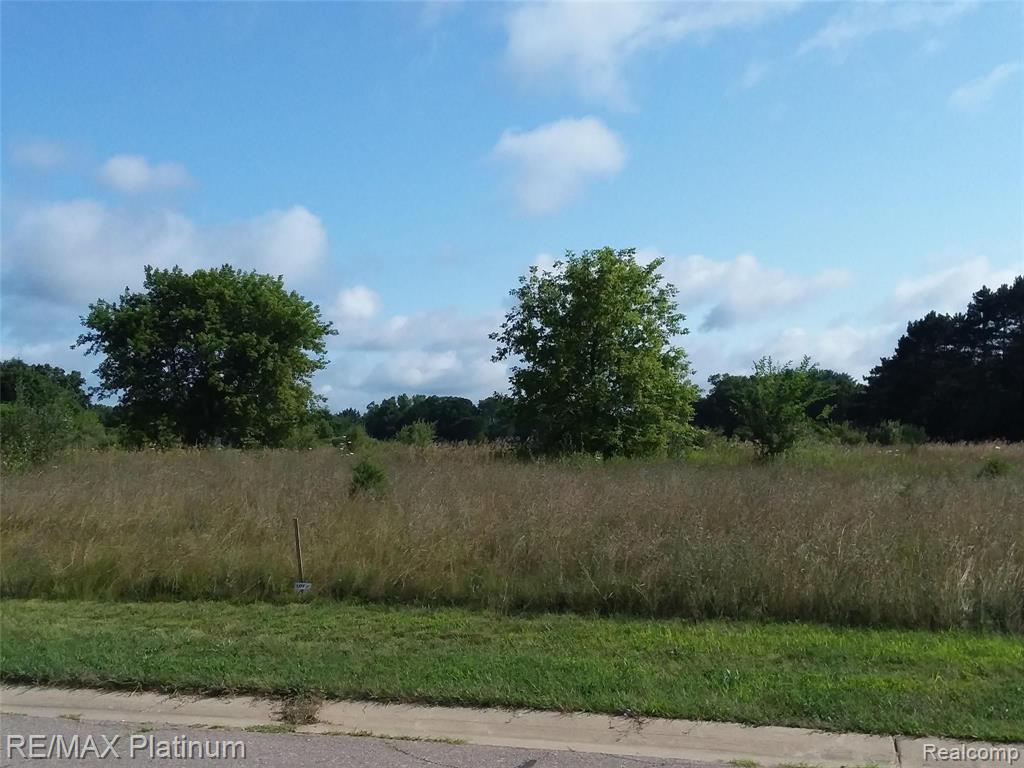 L-45 Outback Trail Pinckney, MI 48169 - Photo 2 of 3