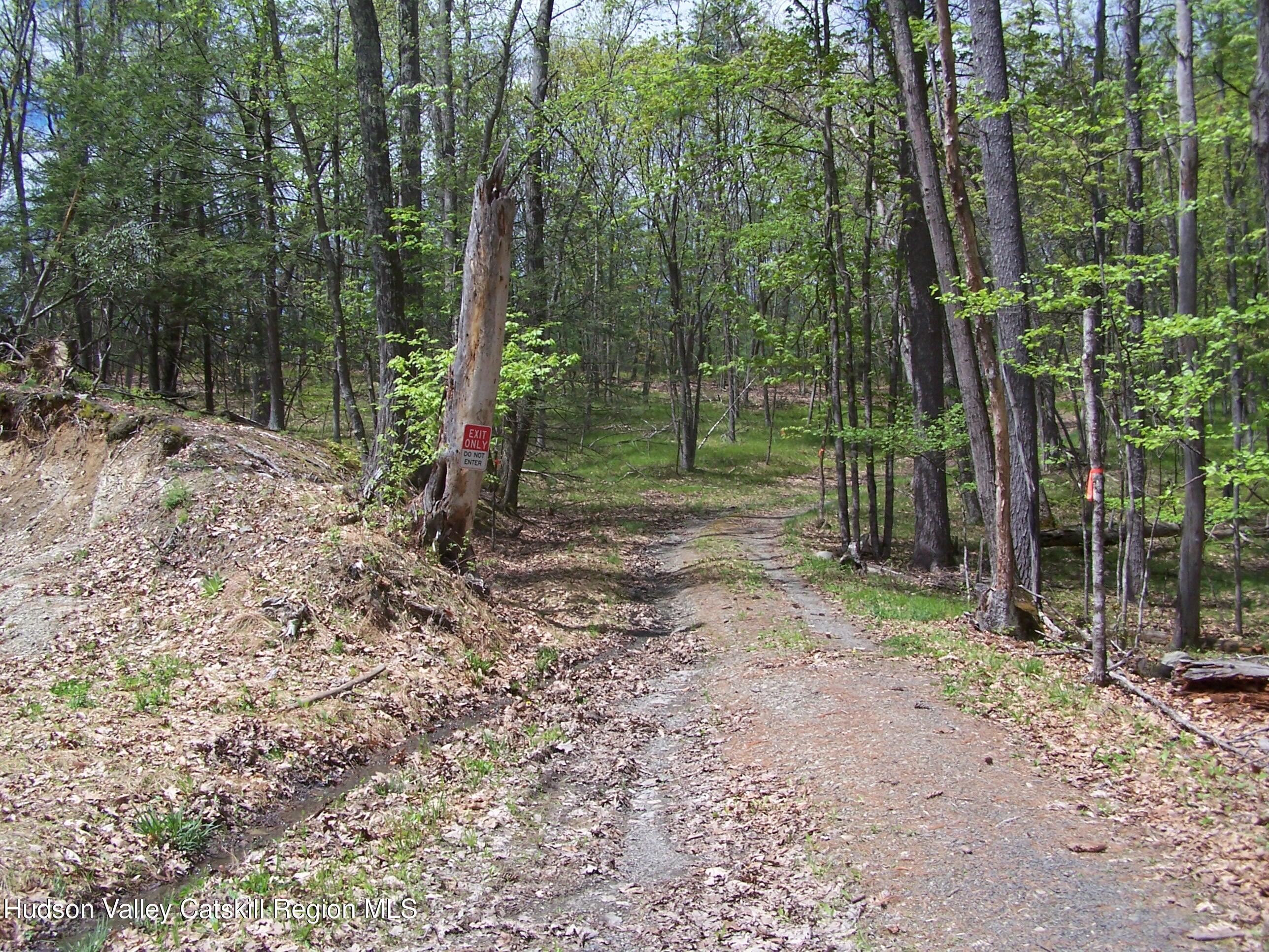 Tbd Heinle Road Kingston, NY 12401 - Photo 2 of 17 Access Point