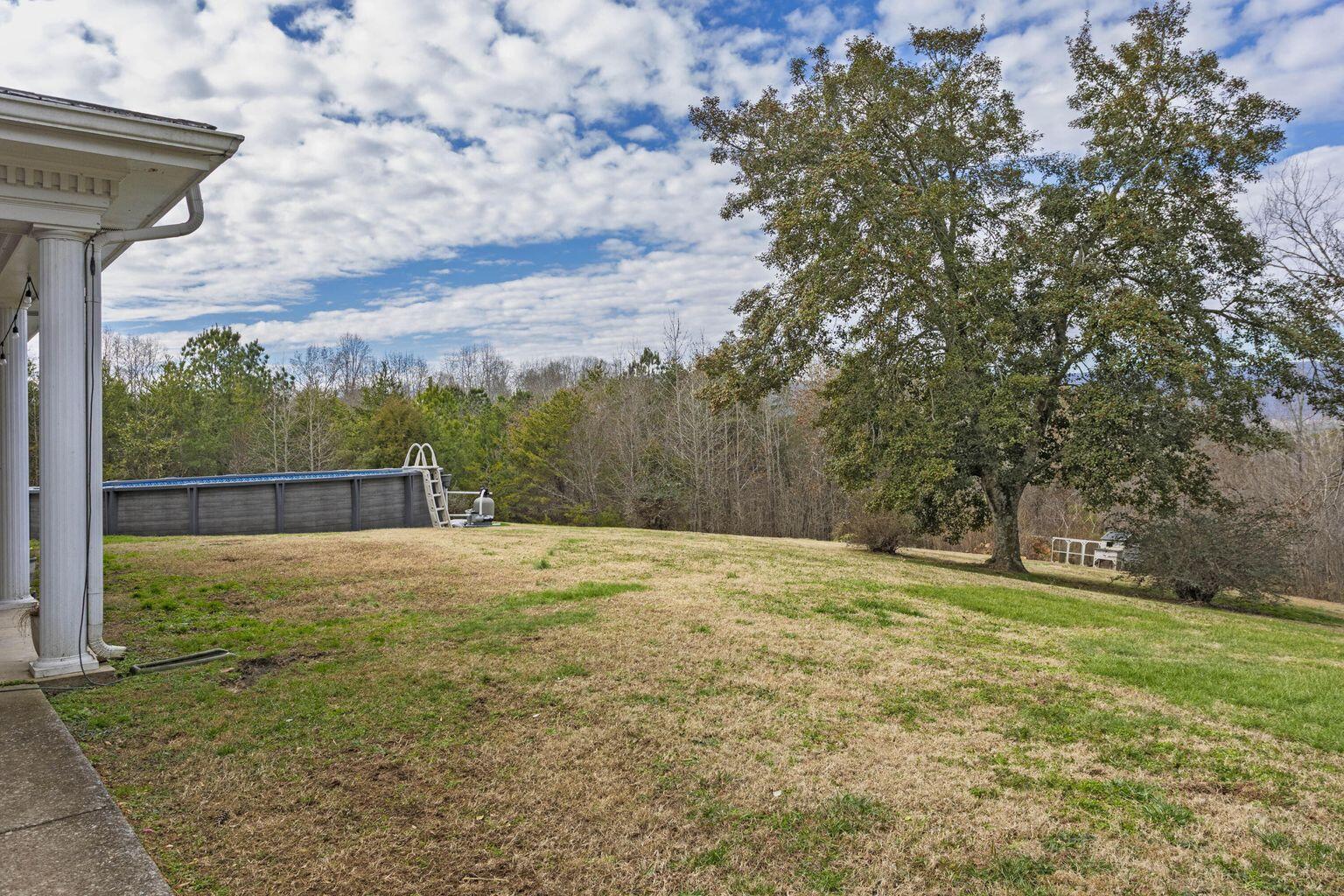 337 Edgewater Street Dayton, TN 37321 - Photo 48 of 63 Back Yard